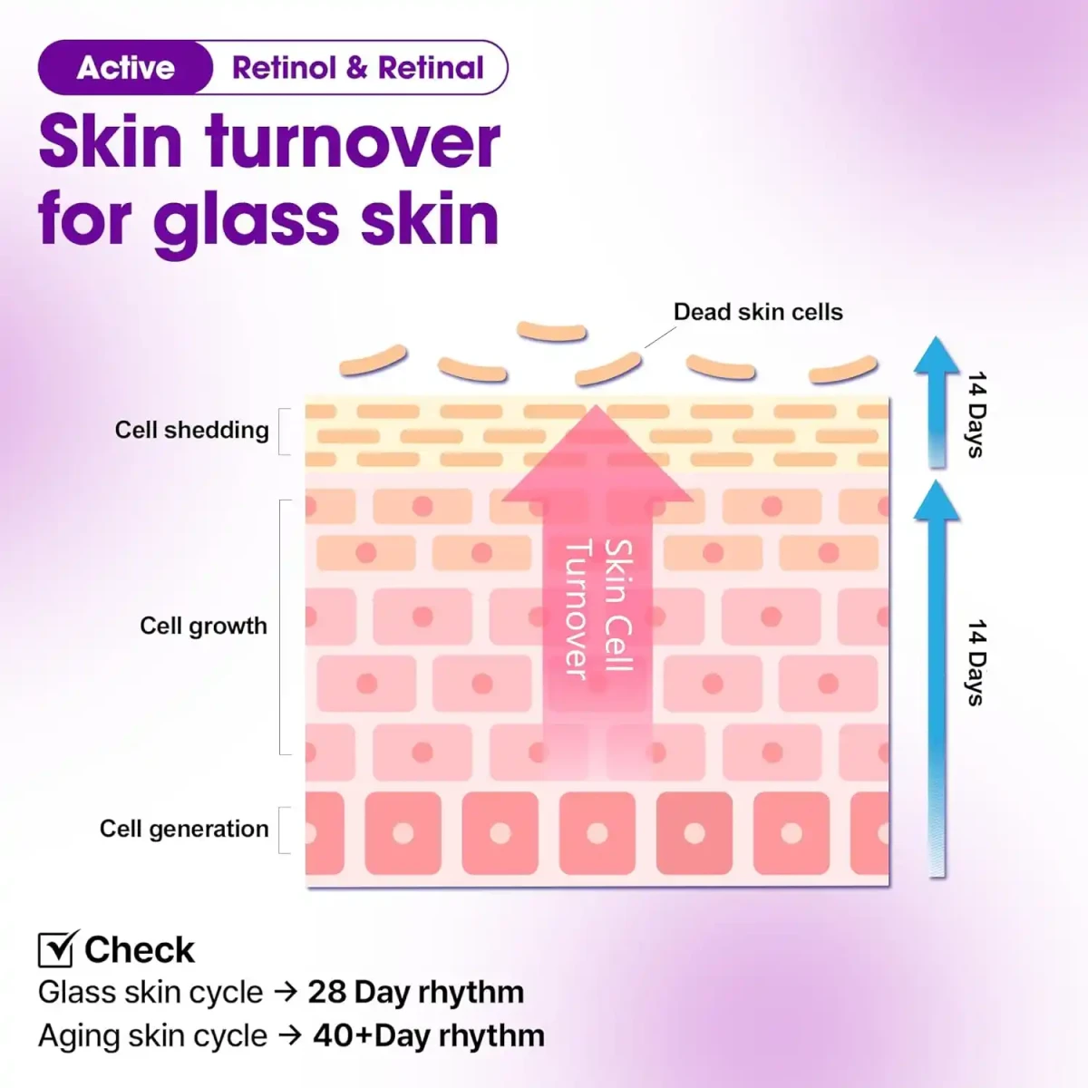 SOME BY MI Retinol Bakuchiol Dual Cream, Intensive Rejuvenating Care - 50ml - Image 4