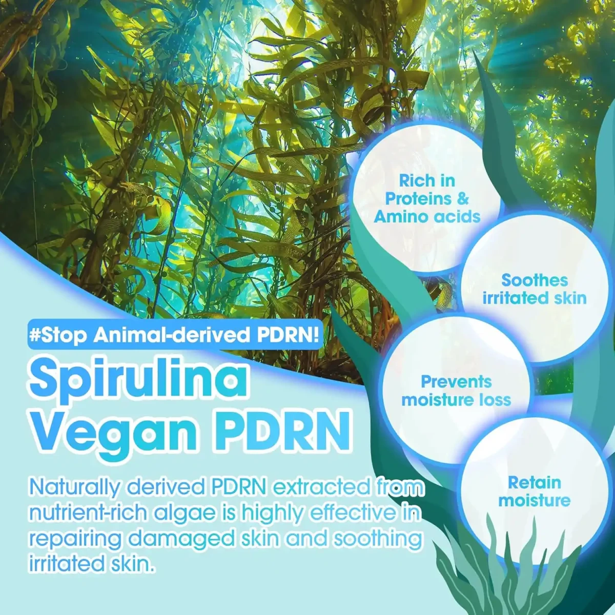 SOME BY MI PDRN Spirulina Soothing Repair Serum - 50ml - Image 5