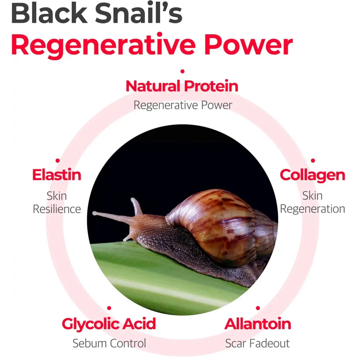 SOME BY MI Snail Truecica Miracle Repair Toner - Image 5