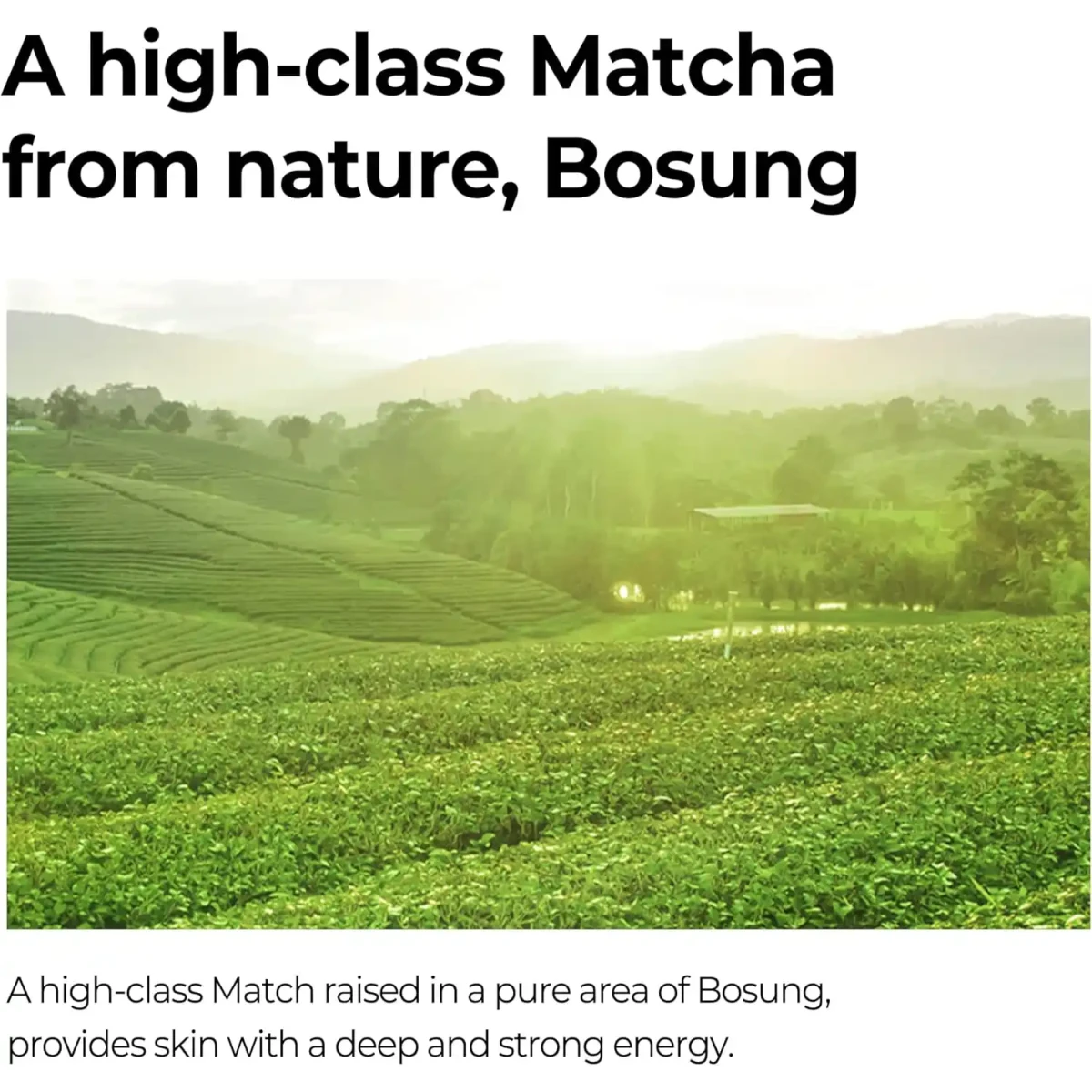 SOME BY MI Super Matcha Pore Clean Cleansing Gel - 100ml - Image 6