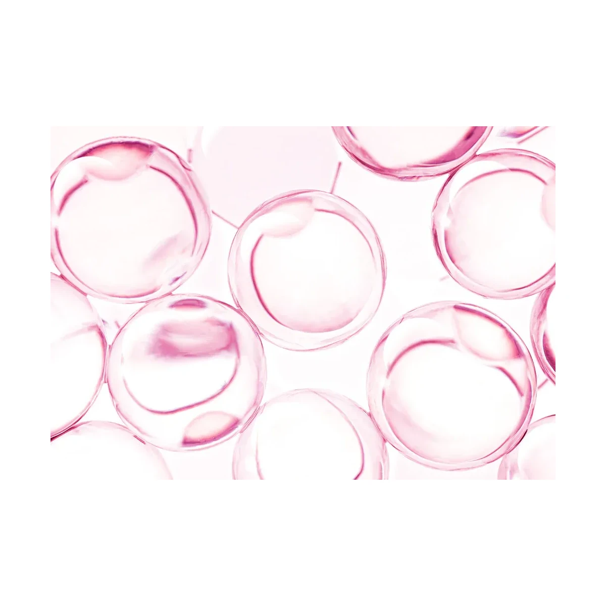 EQQUALBERRY NAD PLUS PEPTIDE BOOSTING CREAM