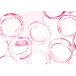 EQQUALBERRY NAD PLUS PEPTIDE BOOSTING CREAM