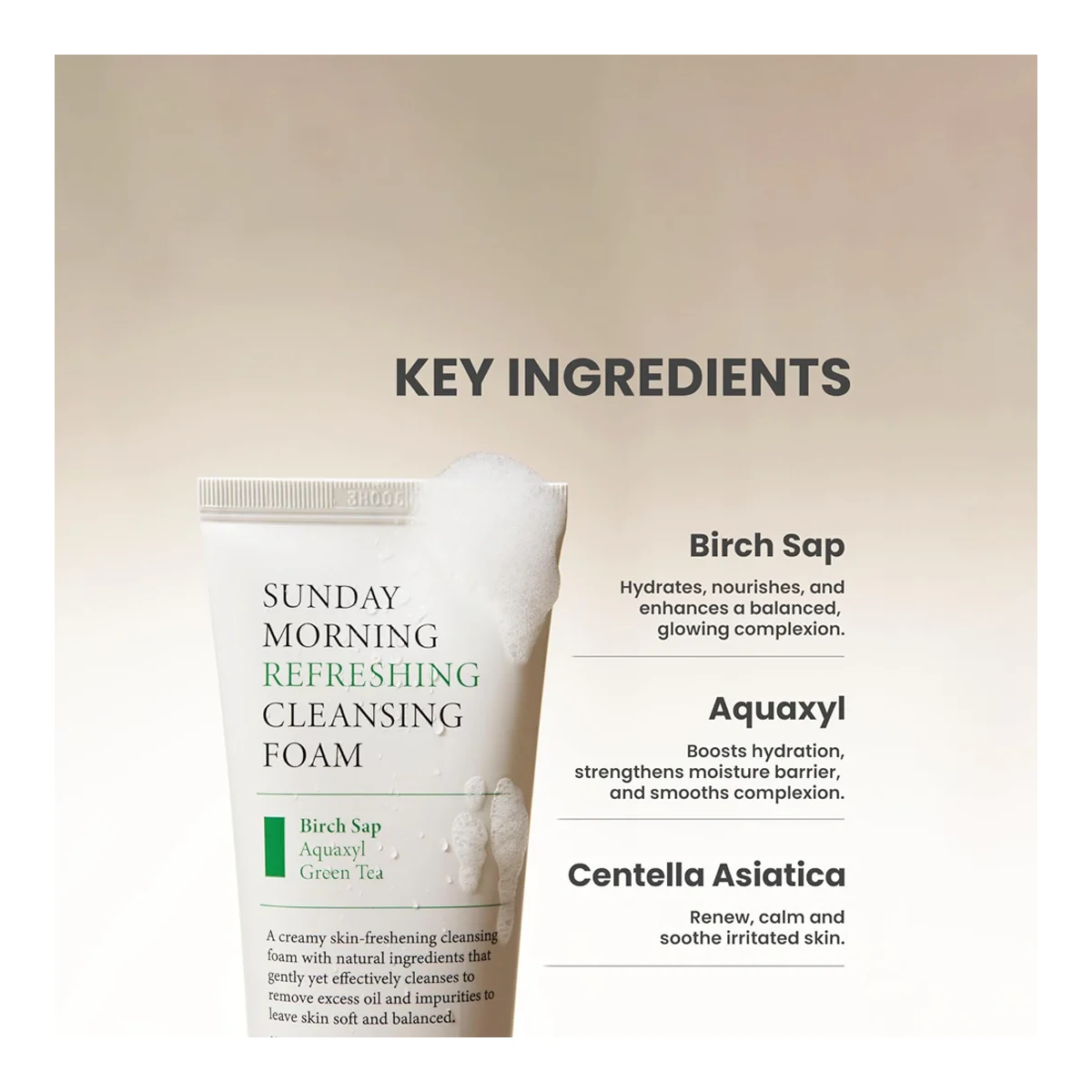 AXIS-Y Sunday Morning Refreshing Cleansing Foam