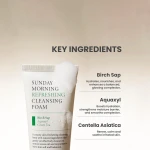AXIS-Y Sunday Morning Refreshing Cleansing Foam